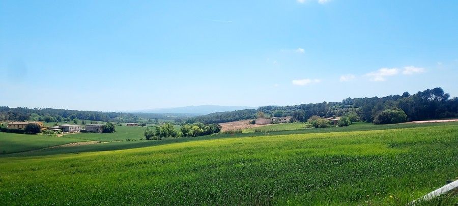 Gräsfält i Spanien